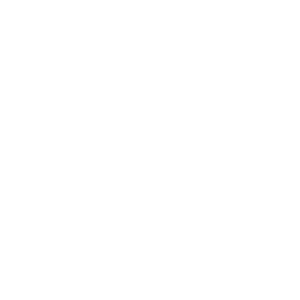 Netzwerktechnologie